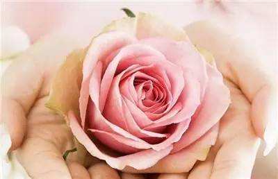 �ɶ�����ҽ���������ѹܶ�����ԭ��?