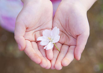 �ɶ����Ʒ����¾��������ڵ�����?