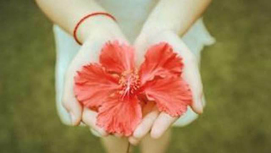 �ɶ����Ͻ���ʹ����Ԥ��������Ҫ����Щ?